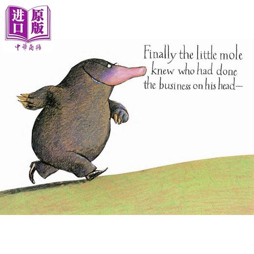 预售 【中商原版】Story of the Little Mole who knew it was none of his business是谁嗯嗯在我的头上 英文原版进口儿童绘本故事 商品图3