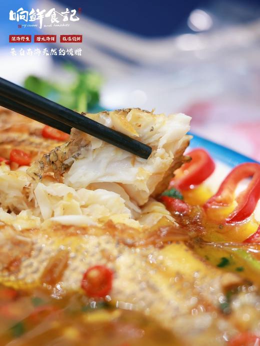 南海野生海鱼礼盒 商品图3