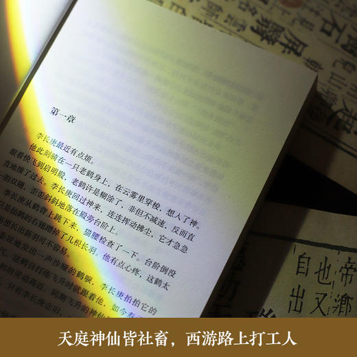 太白金星有点烦 马伯庸新书 历史短小说 见微系列 长安的荔枝 天庭神仙皆社畜西游路上打工人 商品图4