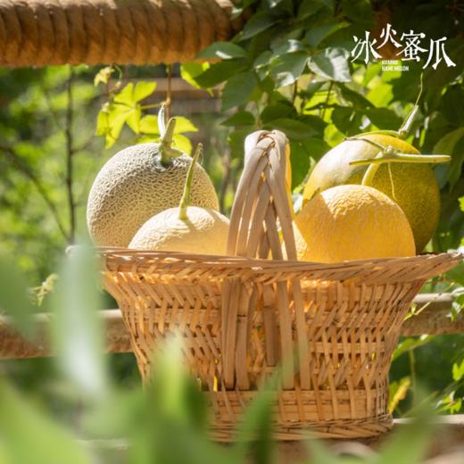 新疆 冰火蜜瓜三色哈密瓜宝盒 7-8斤新疆特产 时令果蔬 商品图0