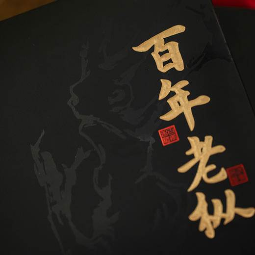 大坑口百年老枞礼盒54g装 商品图2