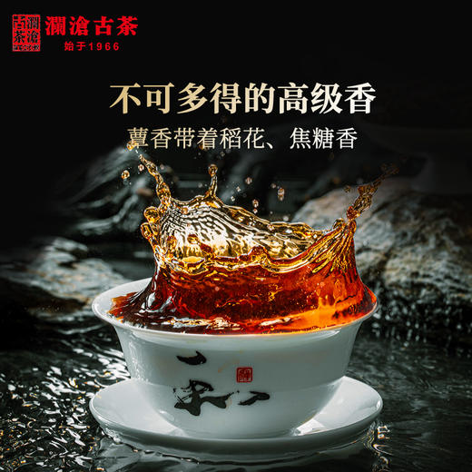 【618大促】澜沧古茶2019年冰岛熟熟茶天花板三大茶区七大名山大礼包-9999限量3套 商品图4
