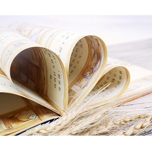 爷爷一定有办法 3-6岁 菲比·吉尔曼 著 儿童绘本 商品图3