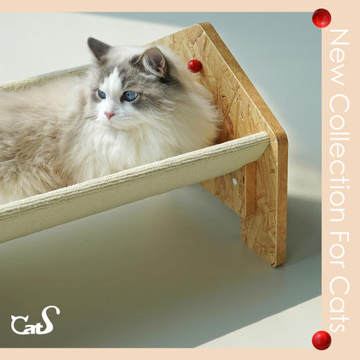 CatS猫家具小红帽系列原创欧松板绒毯宠物窝四季通用小型猫窝猫床 商品图3