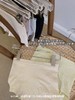 乳木棉2.0桑蚕丝提臀收腹裤 商品缩略图8