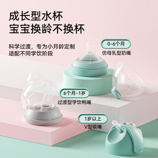 【已卖100万个的爆款】小袋鼠巴布恐龙保温水杯 商品图1
