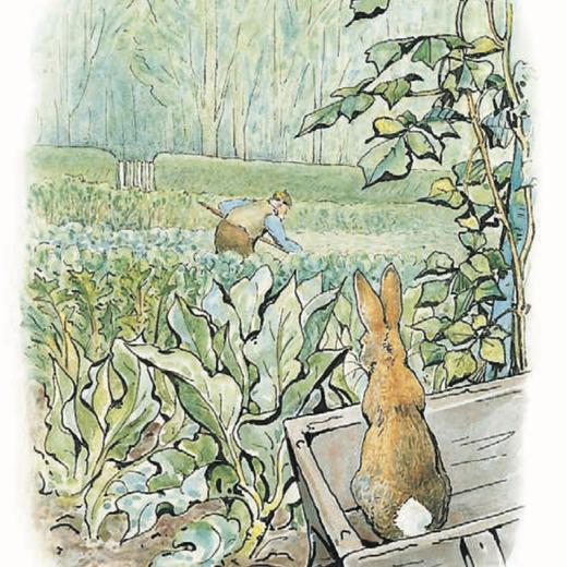 《比得兔的世界》中英双语典藏（全23册） 商品图9