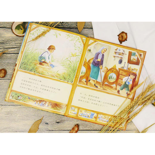 爷爷一定有办法 3-6岁 菲比·吉尔曼 著 儿童绘本 商品图1