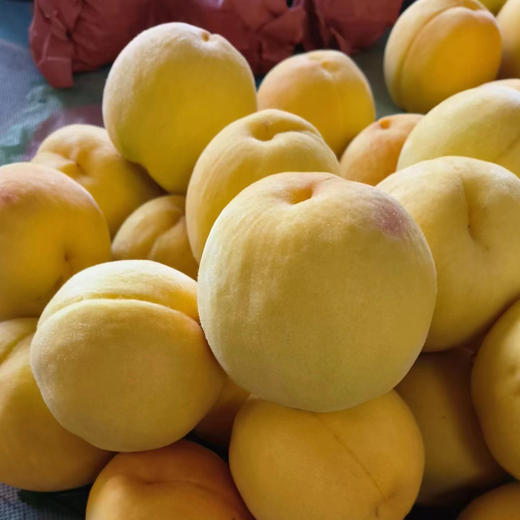 山东蒙阴黄金蜜毛桃 4.5-5斤10-14个彩箱装 一果一格 足斤，未满格为正常现象 商品图3