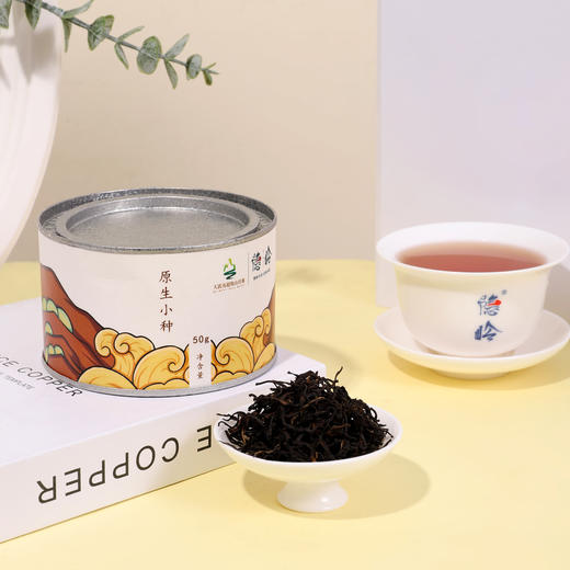 隐岭·原生小种 商品图4