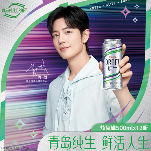 青岛啤酒纯生500ml*12听（炫兔版） 商品图2