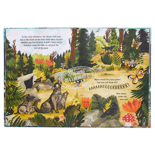 【中商原版】Sandra Dieckmann 秘密森林 Secret Forest 英文原版进口童书 儿童绘本 大自然动植物 找找书图画书 4-7岁 礼品书 商品图5