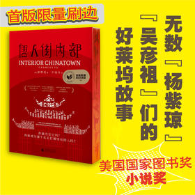 唐人街内部  广西师范大学出版社