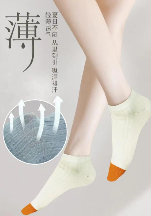 SL竹纤维女士强力消臭船袜204 商品图1