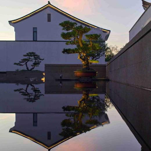 双11返场！1晚/2晚【绍兴璞祺艺境酒店】享乘船入住独特体验、正餐/下午茶、儿童畅玩童玩区、晚安茶点等，江浙沪亲子遛娃推荐~ 商品图4