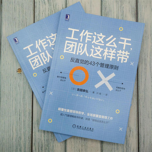 工作这么干，团队这样带：反直觉的43个管理原则 商品图1