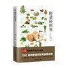 野菜轻图鉴 轻图鉴系列2 付彦荣等 编著 科普读物 商品缩略图0