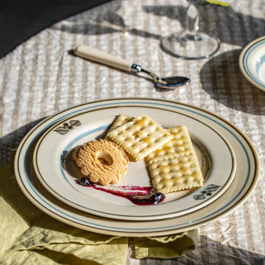 【AITO】日本原产AITO Anyware 花束系列大盘/小盘 商品图6