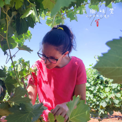 生物动力葡萄酒（基地直发-顺丰包邮）| 750ml/瓶，产自西班牙卡斯蒂利亚，生产者：酒庄三兄妹【合作生产，公平贸易】 商品图4