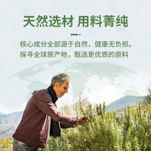 美国Cinmose辛莫斯牌益生菌菊粉糖果125g(50粒） 商品图5