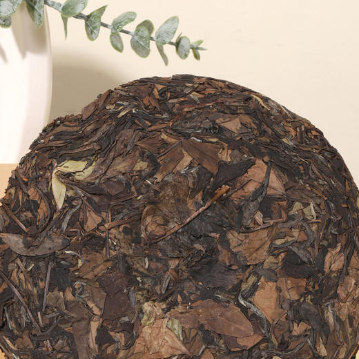 理和堂·荒野古树 商品图2