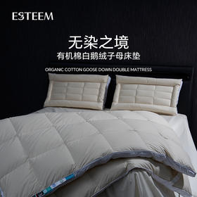 无染之境生态有机棉白鹅绒二合一子母床垫
