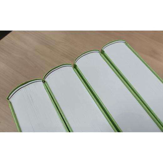 资治通鉴（中华经典普及文库·全4册）(司马光) 商品图3