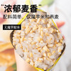 小鸡收腹0低脂肪燕麦魔芋米130g*6包无糖精控糙米饭团即食肥代餐减主食品 商品缩略图0