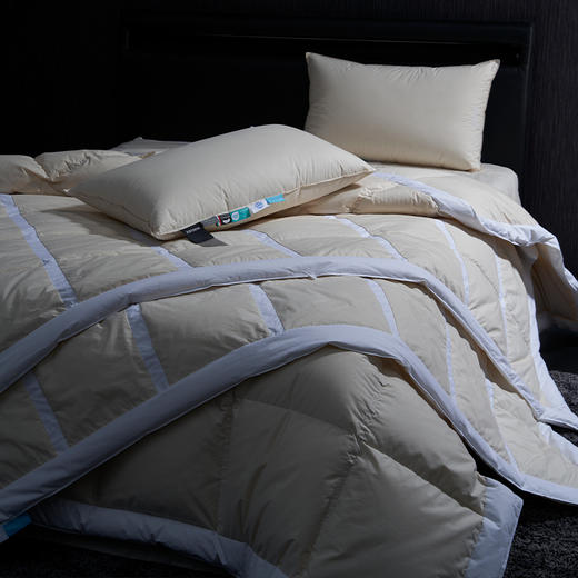 无染之境生态有机棉白鹅绒夏被 商品图10