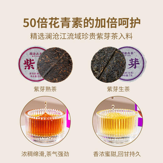 【社群专享】澜沧古茶2023年紫芽熟小萌饼+紫龙玉饼（熟）+白瓷斗笠杯（喜乐杯）*2个 商品图2