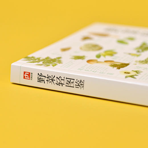 野菜轻图鉴 250余种野菜识别与食用指南 分类 名称  特征识别 生活习性 繁殖方式 科普常见野菜识别知识 享受采摘野菜的乐趣(付彦荣  主编 含章新实用编辑部  编著  凤凰含章出品) 商品图3