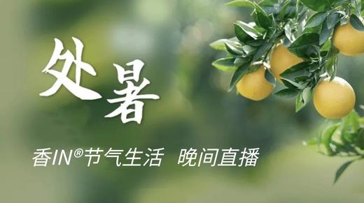 节气生活 处暑晚直播 商品图0