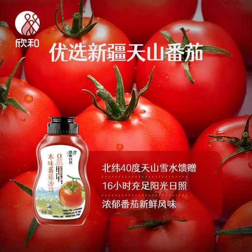 遵循自然本味番茄沙司340g 商品图5