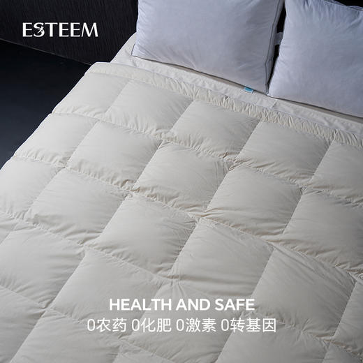 无染之境生态有机棉白鹅绒冬被 商品图4