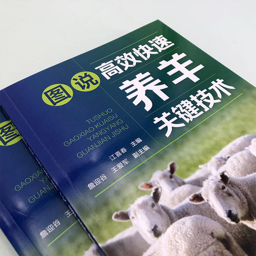 图说高效快速养羊关键技术 商品图2