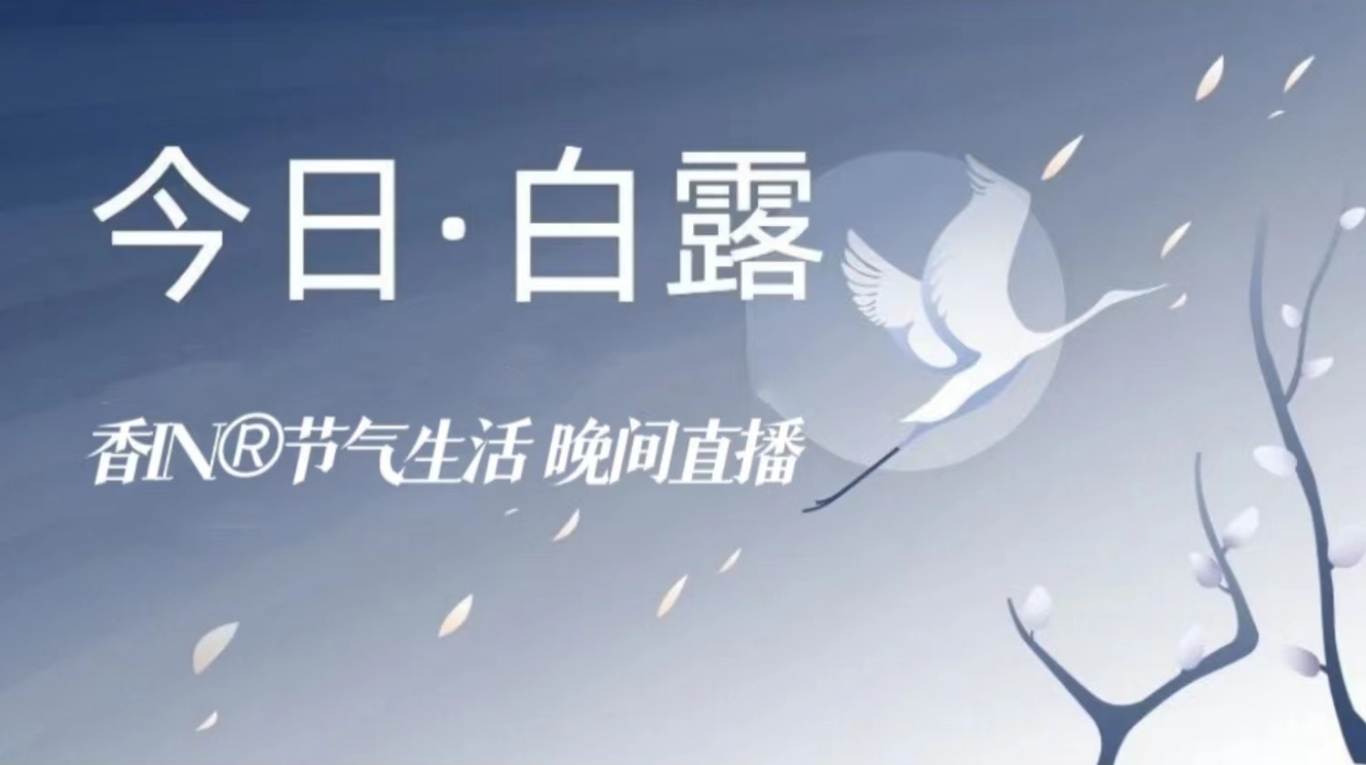 节气生活 白露晚直播