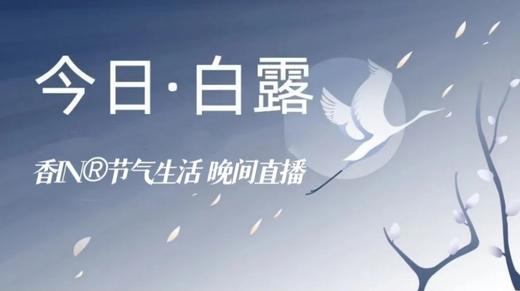 节气生活 白露晚直播 商品图0