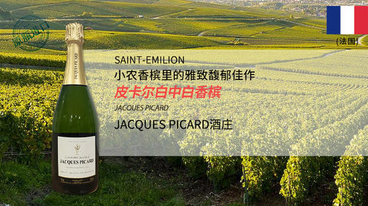 法国-皮卡尔白中白香槟 商品图0