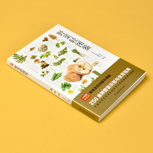 野菜轻图鉴 250余种野菜识别与食用指南 分类 名称  特征识别 生活习性 繁殖方式 科普常见野菜识别知识 享受采摘野菜的乐趣(付彦荣  主编 含章新实用编辑部  编著  凤凰含章出品) 商品图2