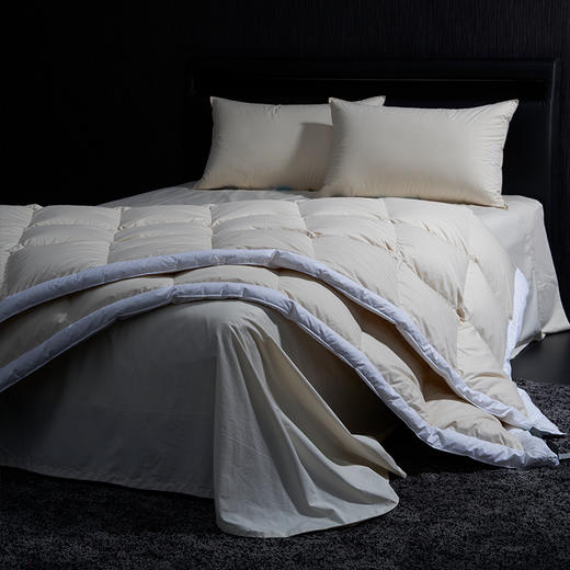 无染之境生态有机棉白鹅绒四季被 商品图10