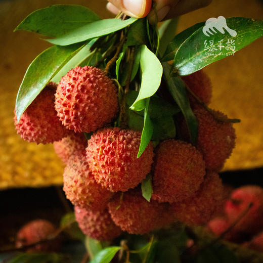 生态桂味荔枝 | 合作生产 * Eco-litchi | Coproduction 商品图0