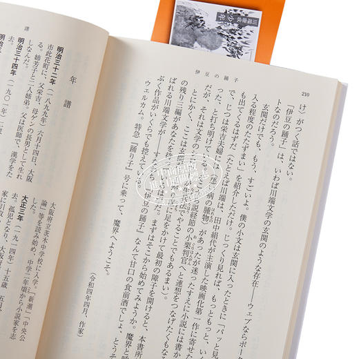【中商原版】伊豆的舞女新装文库版 川端康成经典名作 日文原版 伊豆の踊子 商品图3
