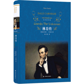 林肯传