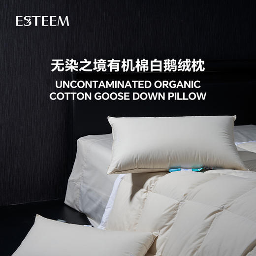 无染之境生态有机棉白鹅绒枕 商品图0