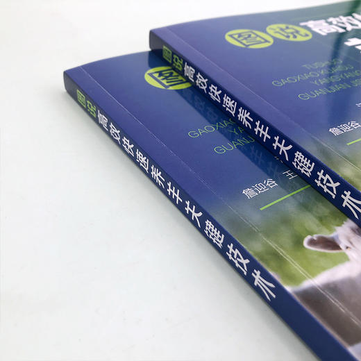 图说高效快速养羊关键技术 商品图3