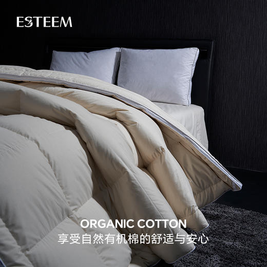 无染之境生态有机棉白鹅绒冬被 商品图2