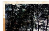 Peter Doig (Rizzoli Classics)  / 彼得·多伊格（里佐利经典） 商品缩略图4