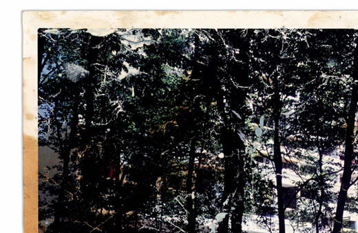 Peter Doig (Rizzoli Classics)  / 彼得·多伊格（里佐利经典） 商品图4