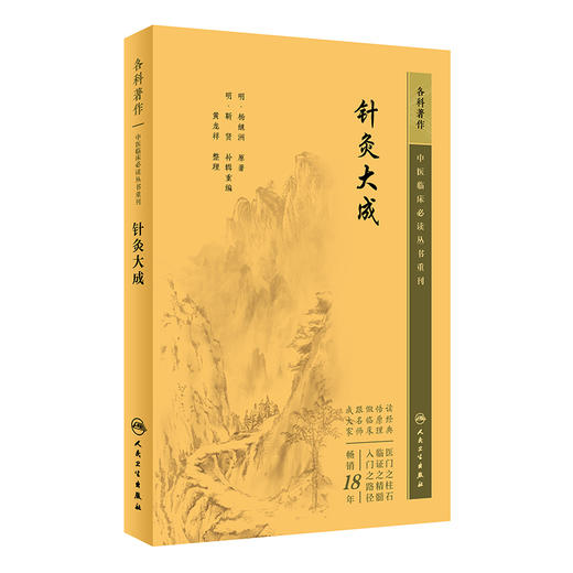 针灸大成 商品图0