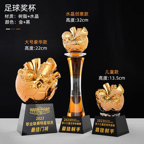 体育运动金属水晶奖杯定制员工团队学校学生友谊比赛篮球足球荣誉